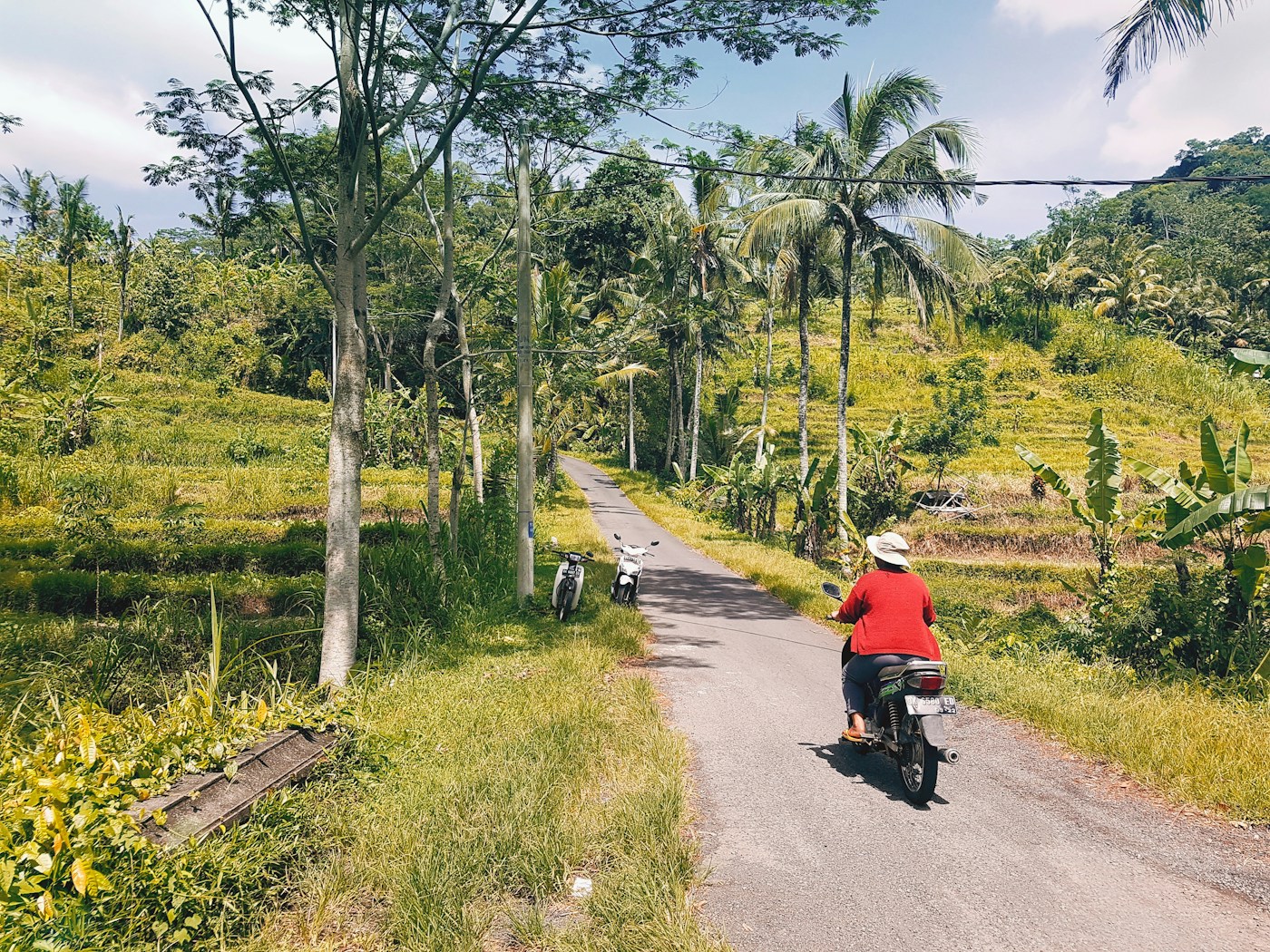 Small road through the green landscape of Sidemen in Bali